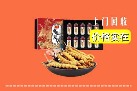 安阳内黄县回收冬虫夏草